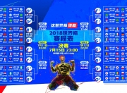 开云体育登录-一球定乾坤，奥地利险胜瑞典，林高远点燃寂静赛场