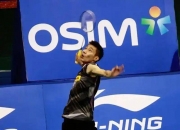 开云体育官网-中国羽毛球队碾压法国羽毛球队，李宗伟关键制胜的简单介绍