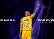 开云平台-西决生死战之夜，塔图姆用防守铸就传奇