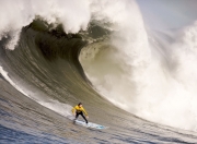 开云体育登录-沪上风暴席卷孟菲斯，欧文关键先生本色，上海队战术强压灰熊启示录