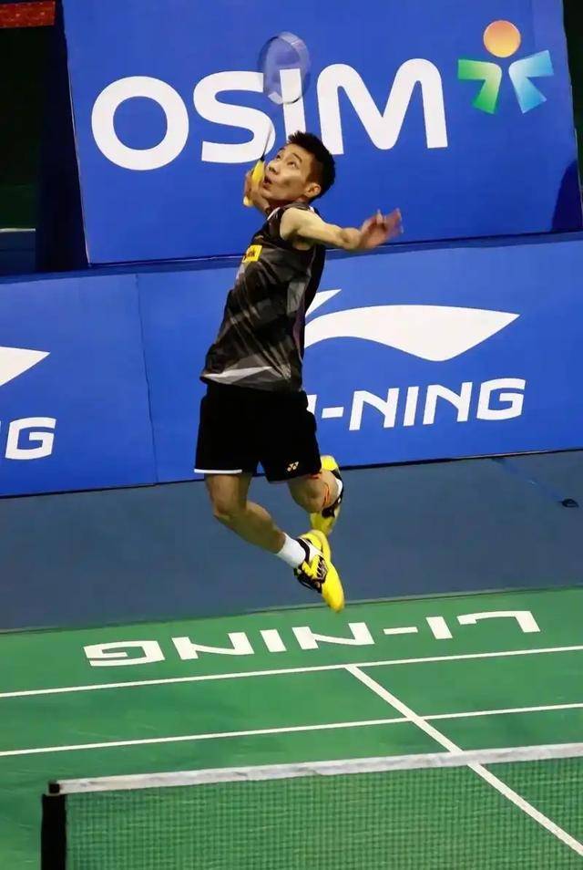 中国羽毛球队碾压法国羽毛球队，李宗伟关键制胜的简单介绍