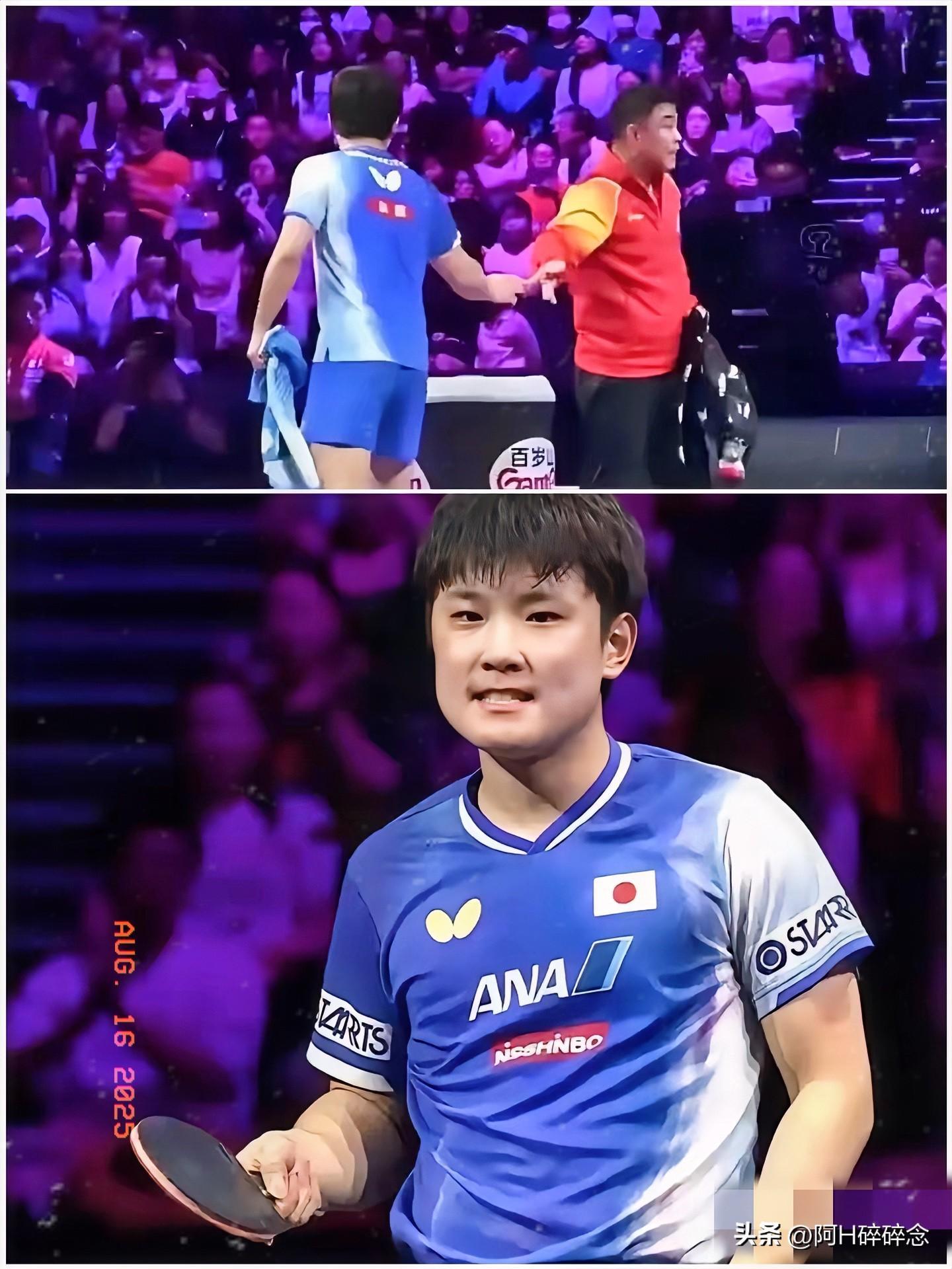 日本队逆转波兰队，张本智和刷新纪录的简单介绍