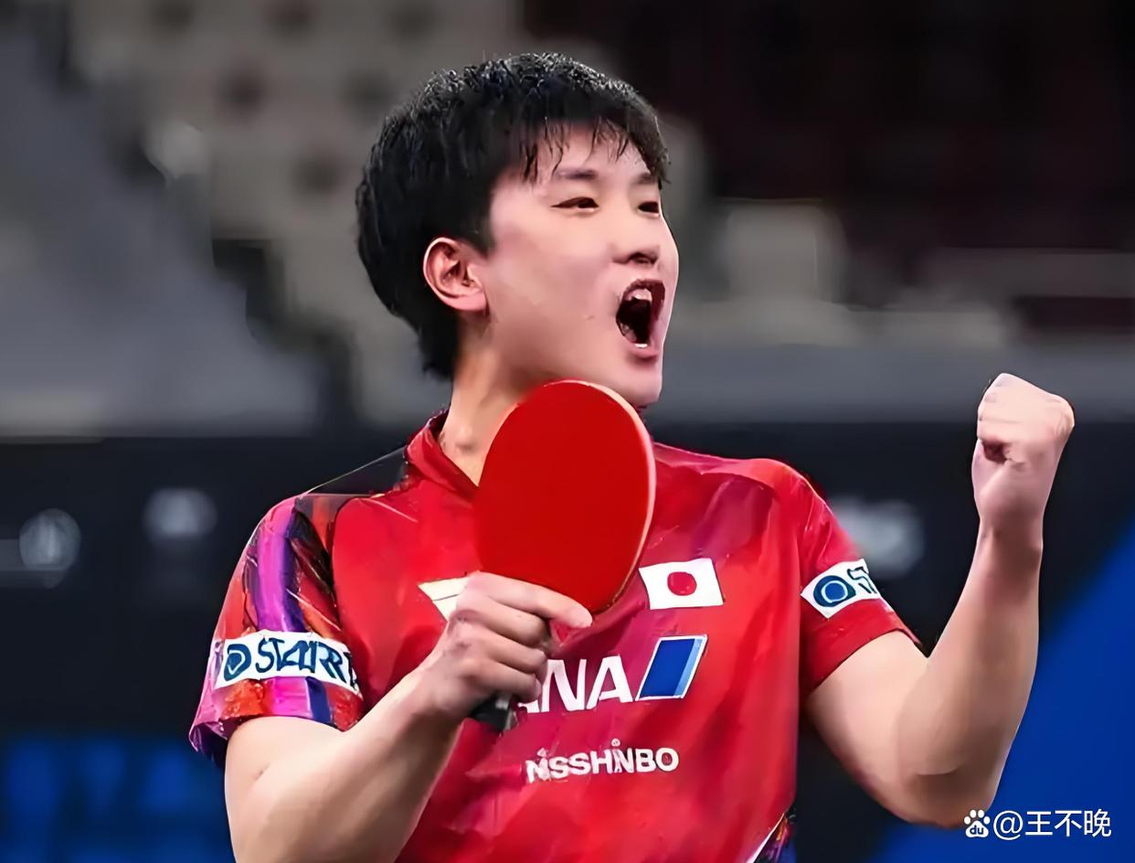 日本队逆转波兰队，张本智和刷新纪录的简单介绍