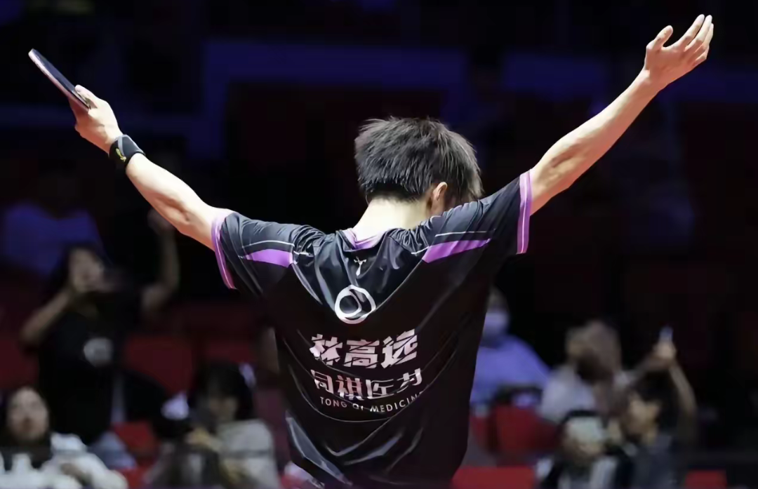 中国队逆转波兰队，林高远关键制胜的简单介绍